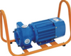 Ecotec 1'' 220V Explosion-Proof Transfer Pump for Gas Station ZL-90