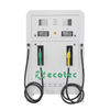 Ecotec 1000 Liter Mini Fuel Station Portable Dispenser Mini Fuel Dispenser for Gas Station