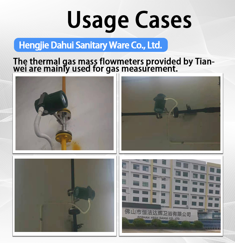 Thermal Gas Mass Flow Meter With Flange Gas Leak Detection Measurement Measuring Flow Rate, Temperature, Pressure.