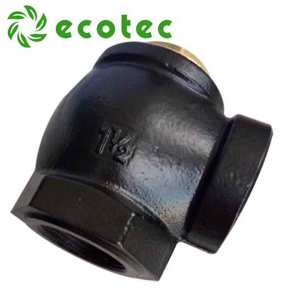 Ecotec High Quality 2 Inch Check Valve Fuel Dispenser Valve for Gas Station