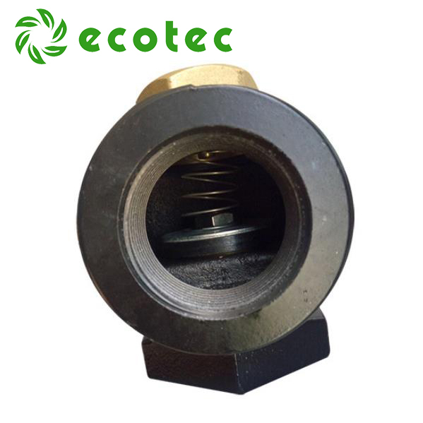 Ecotec Hot Sale 1.5 Inch Check Valve Angle Valve with Bspt Thread