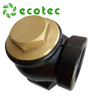 Ecotec Hot Sale 1.5 Inch Check Valve Angle Valve with Bspt Thread