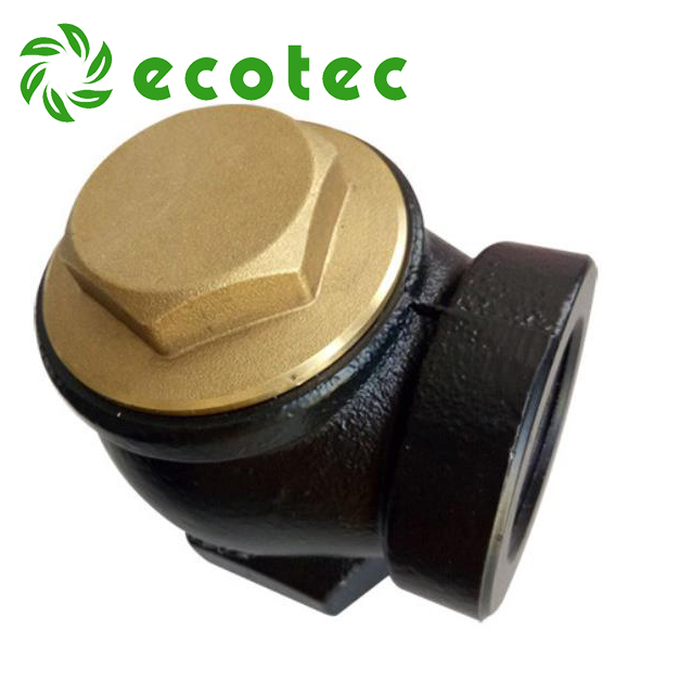 Ecotec 2 Inch Check Valve Fuel Dispenser Valve with NPT thread