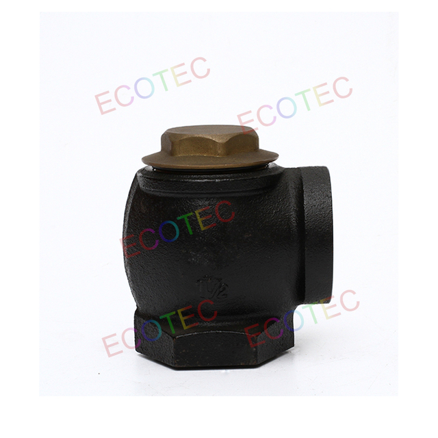 Ecotec Fuel Parts 2'' Inlet Check Valve for Petrol Station Fuel Dispenser