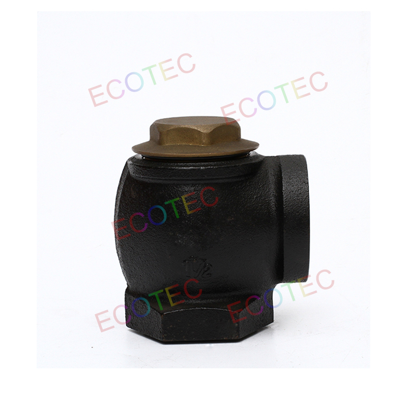 Ecotec Fuel Parts 1.5'' Inlet Check Valve for Petrol Station Fuel Dispenser