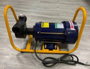 Ecotec 220V Explosion-Proof Transfer Pump for Gas Station ZL-130