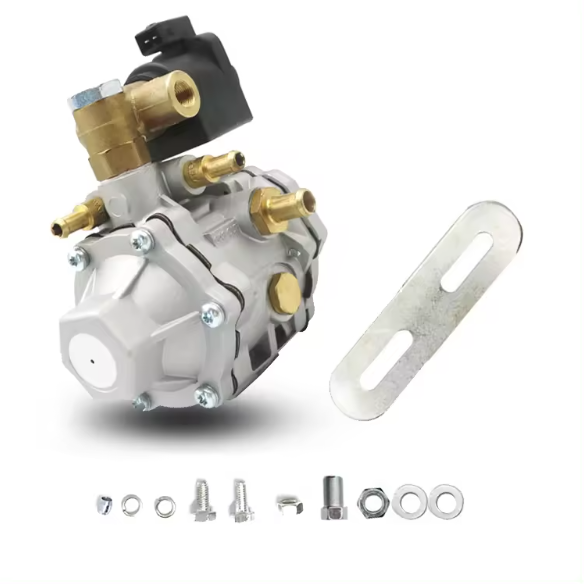 Advanced motorcycle fuel conversion components