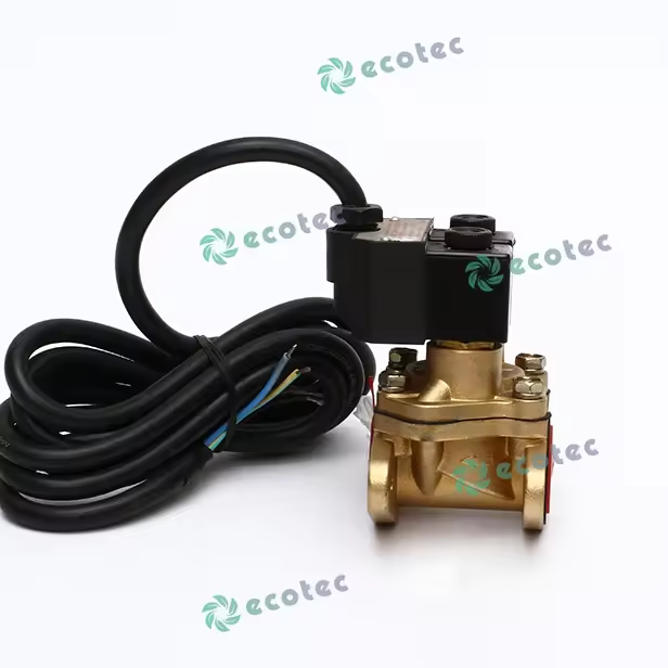 Fuel Dispenser Solenoid Valve Maintenance