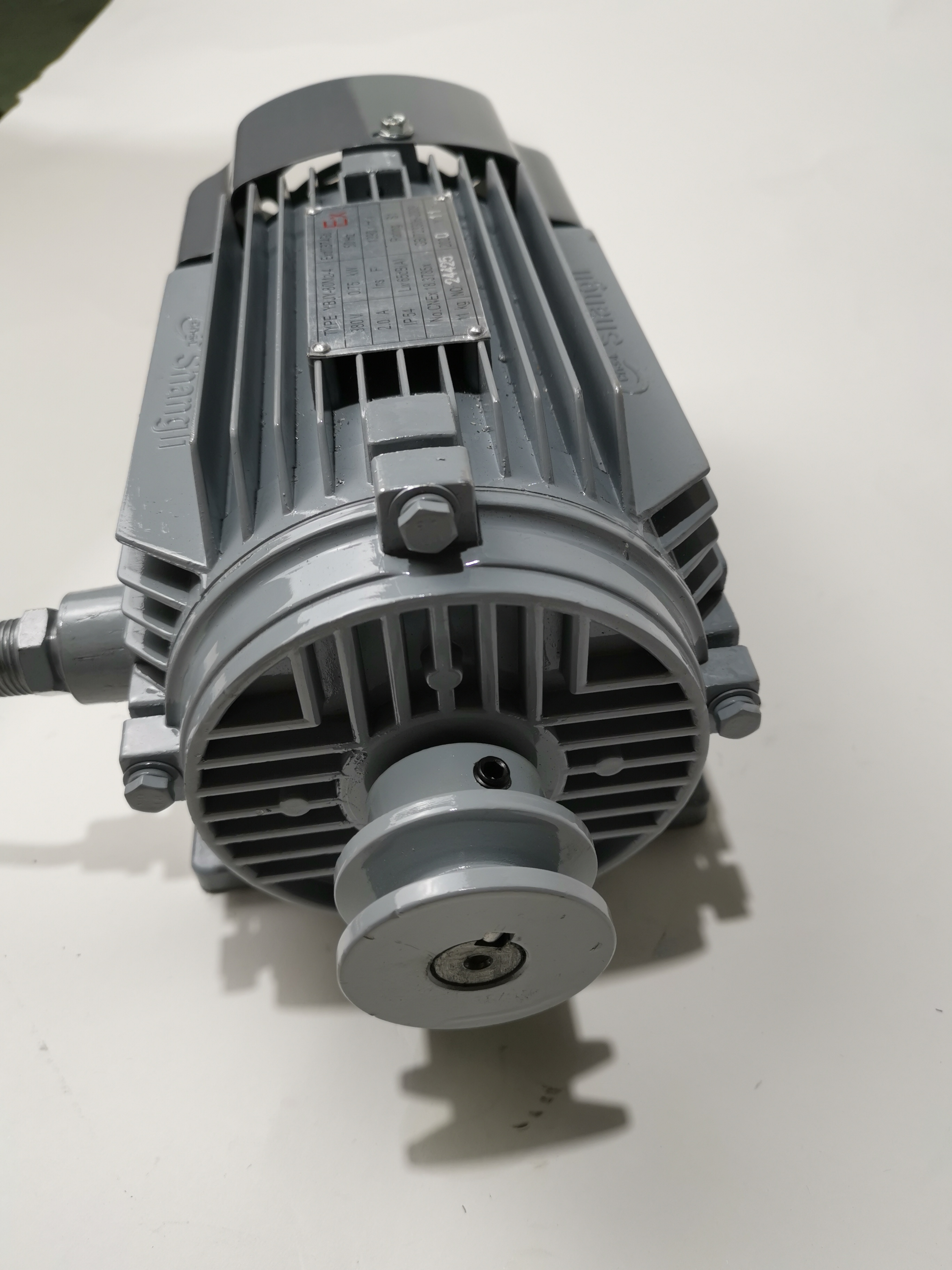 Explosion-Proof Motor for Fuel Dispenser System